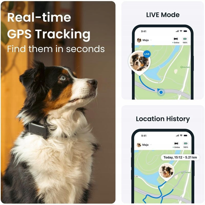 Tractive DOG 6 lokalizator GPS dla psa z LTE, wodoodporny IP68, 39 g – miętowy