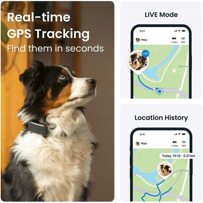 Tractive DOG 6 lokalizator GPS dla psa z LTE, wodoodporny IP68, 39 g – miętowy