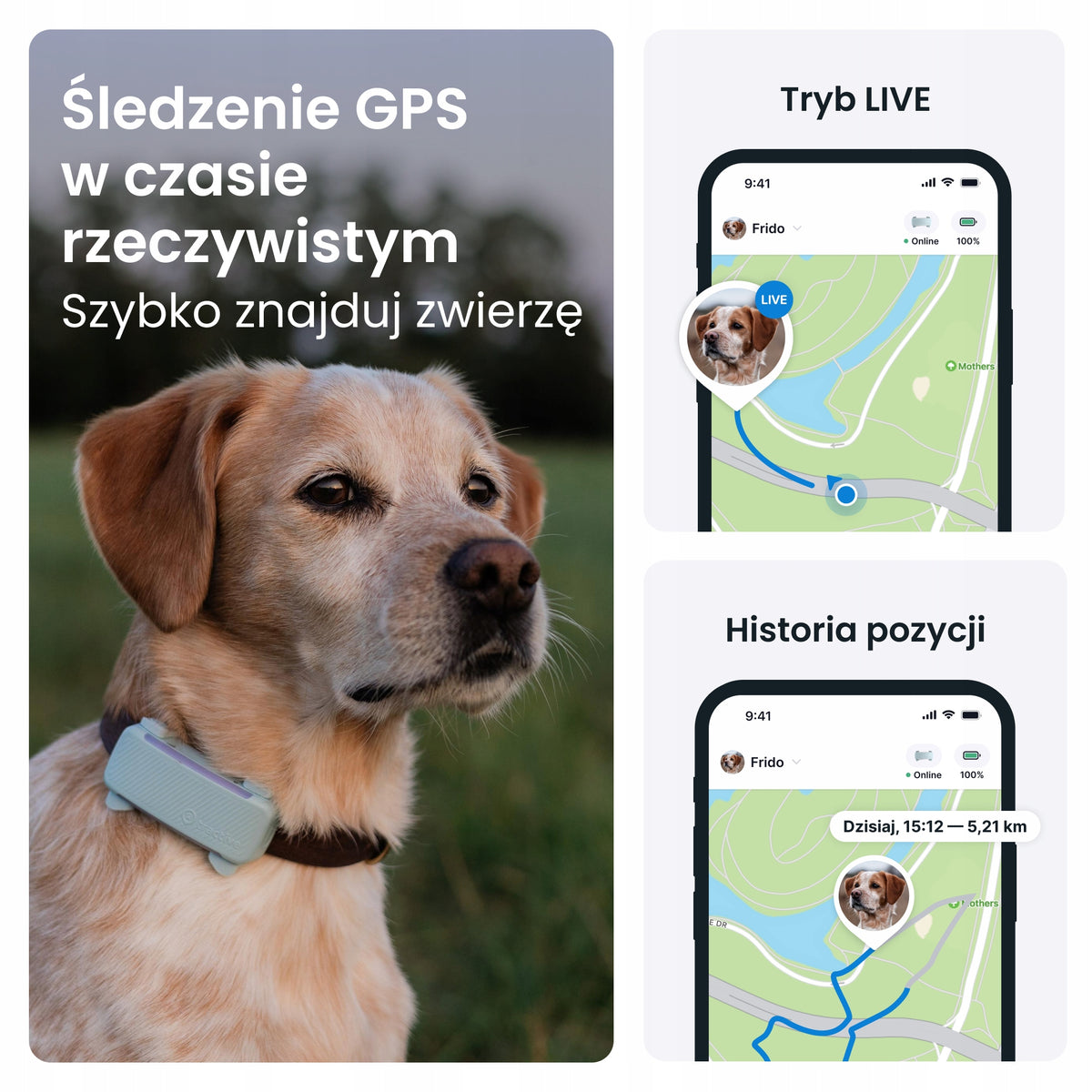 Tractive DOG 6 lokalizator GPS dla psa z LTE, wodoodporny IP68, 39 g – miętowy