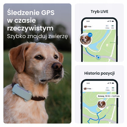 Tractive DOG 6 lokalizator GPS dla psa z LTE, wodoodporny IP68, 39 g – miętowy