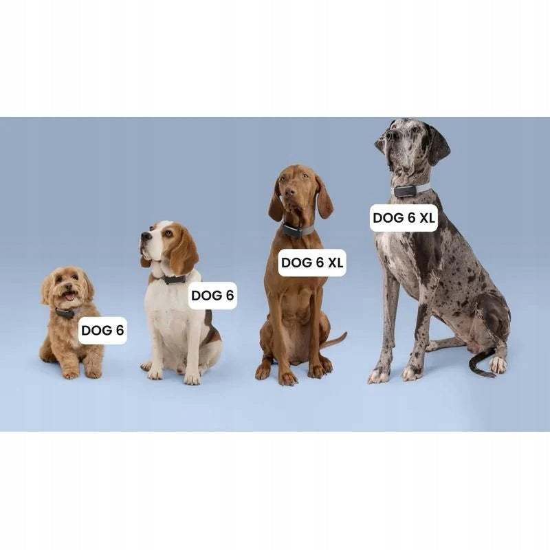 Tractive DOG 6 lokalizator GPS dla psa z LTE, wodoodporny IP68, 39 g – miętowy