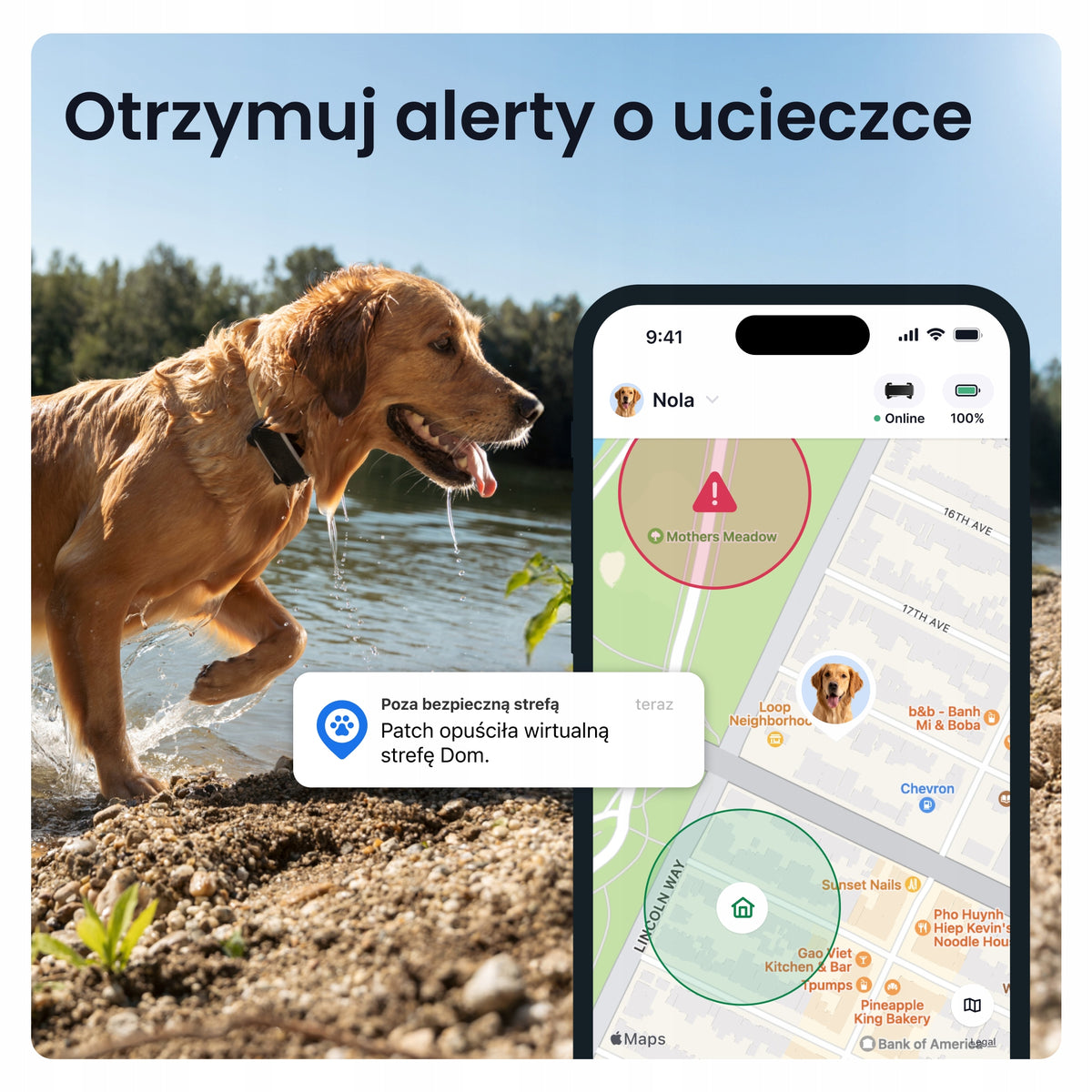 Tractive Lokalizator GPS dla psa DOG 6 XL z monitorowaniem zdrowia, powyżej 20 kg – czarny