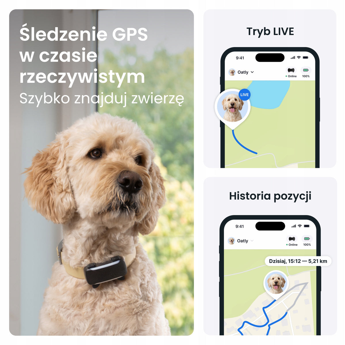 Tractive Lokalizator GPS dla psa DOG 6 XL z monitorowaniem zdrowia, powyżej 20 kg – czarny