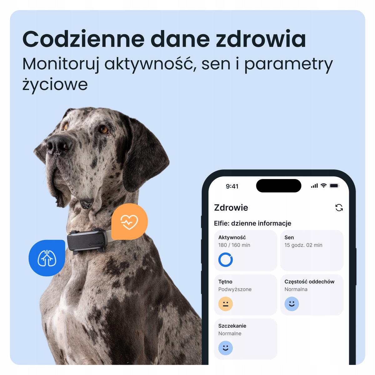 Tractive Lokalizator GPS dla psa DOG 6 XL z monitorowaniem zdrowia, powyżej 20 kg – czarny