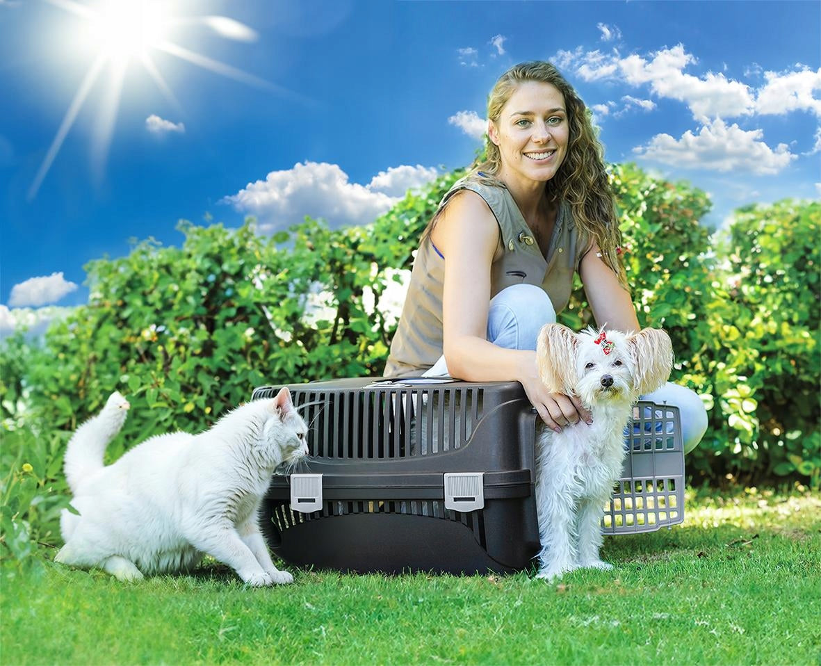 Happet Transporter dla kota i psa Molly M 36,5 × 55 × 33 cm do samochodu – szaro-czarny