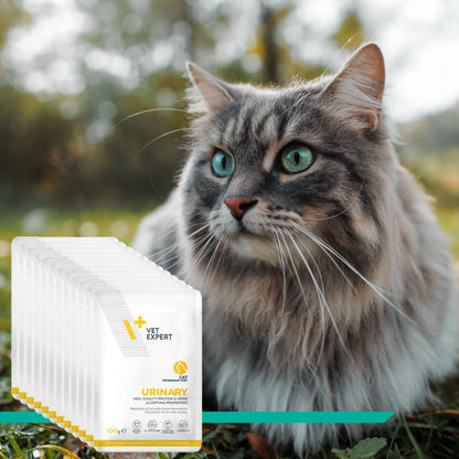 Vet Expert Urinary Cat karma mokra dla kota na układ moczowy 12 x 100 g – kurczak