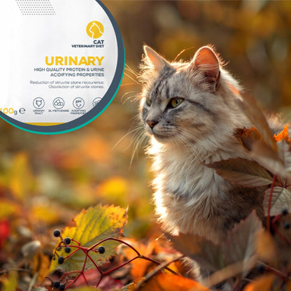 Vet Expert Urinary Cat karma mokra dla kota na układ moczowy 12 x 100 g – kurczak