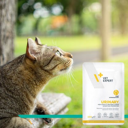 Vet Expert Urinary Cat karma mokra dla kota na układ moczowy 12 x 100 g – kurczak