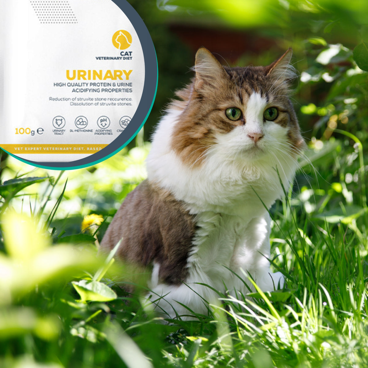 Vet Expert Urinary Cat karma mokra dla kota na układ moczowy 12 x 100 g – kurczak
