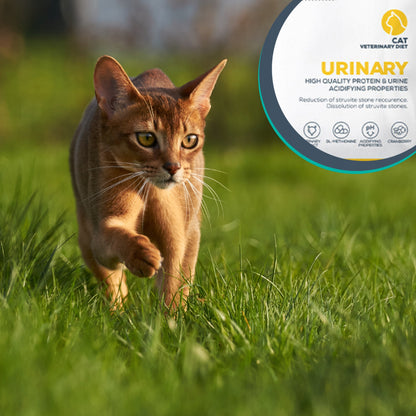 Vet Expert Urinary Cat karma mokra dla kota na układ moczowy 12 x 100 g – kurczak