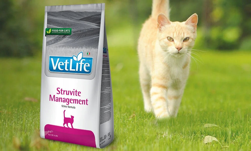 Farmina Vet Life Struvite Management sucha karma dla kota 10 kg – dieta na drogi moczowe