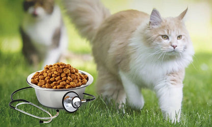 Farmina Vet Life Struvite Management sucha karma dla kota 10 kg – dieta na drogi moczowe