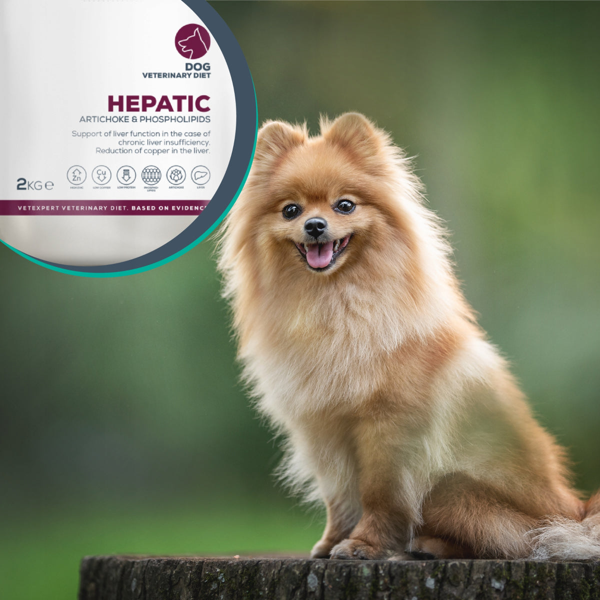 VetExpert Veterinary Diet Hepatic sucha karma dla psa na wątrobę 2 kg – drób