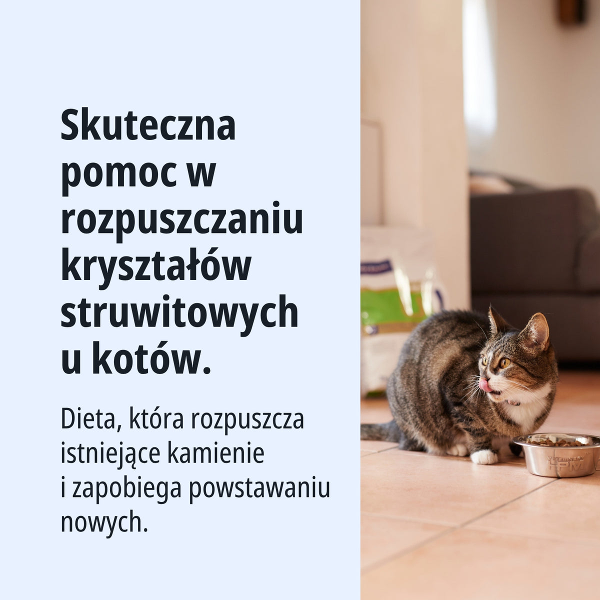 Virbac Urology 1 sucha karma dla kota na kamicę moczową 3 kg – wysokobiałkowa, drób
