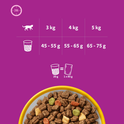 Whiskas Adult sucha karma dla kota z kurczakiem 3,8 kg – dla dorosłych kotów