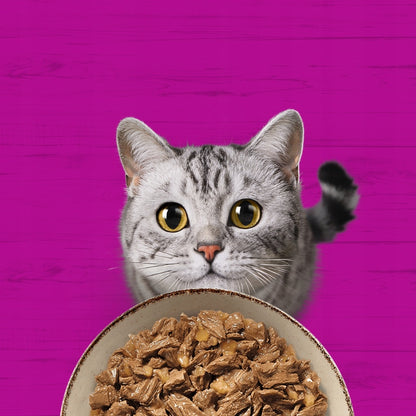 Whiskas Mokra karma dla kota w galaretce 40x85 g – drobiowe frykasy, mix smaków