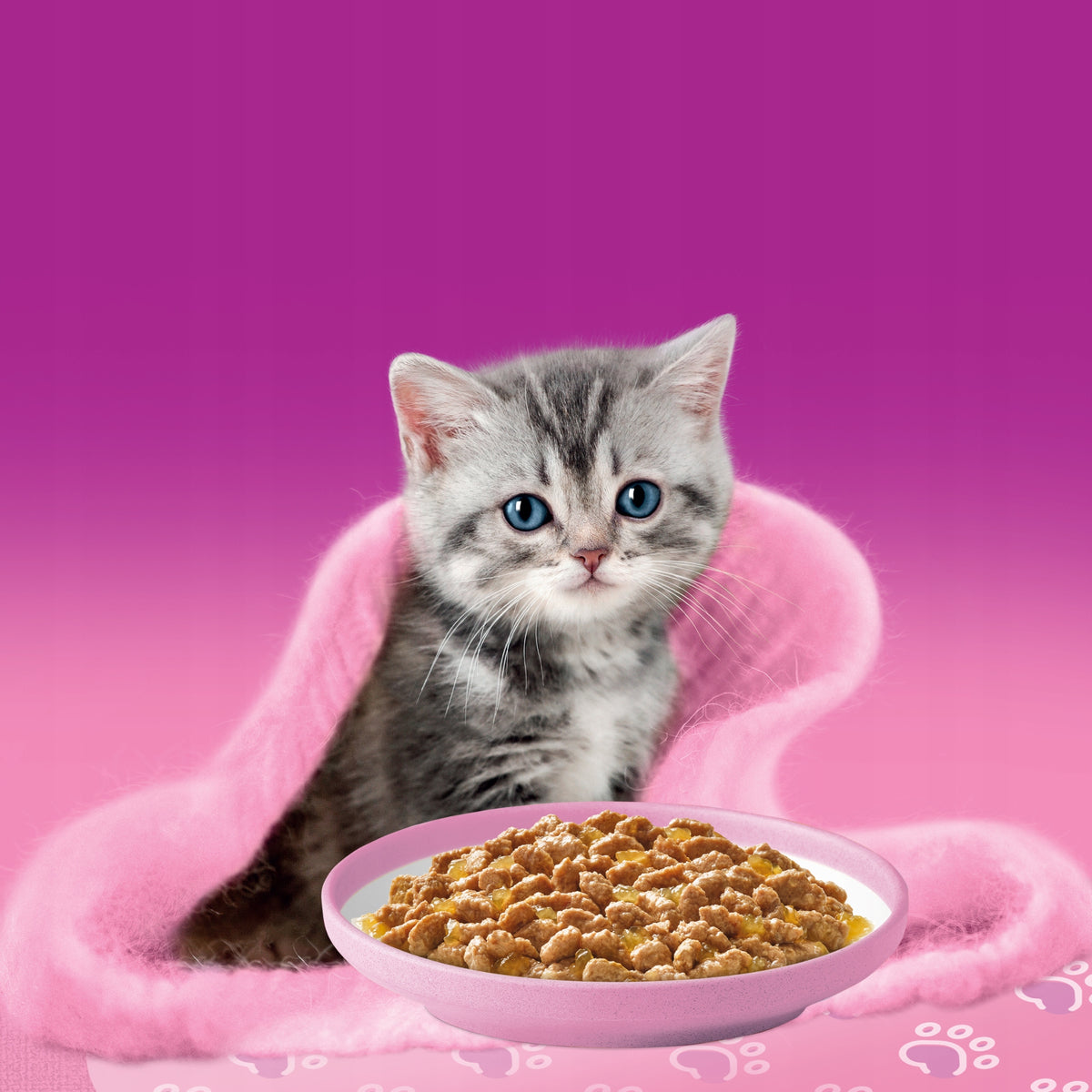 Whiskas Junior mokra karma dla kociąt w galaretce 40 x 85 g – drobiowa uczta, mix smaków