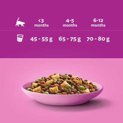 Whiskas Junior sucha karma dla kociąt z kurczakiem 14 kg – pełnoporcjowa, z tauryną