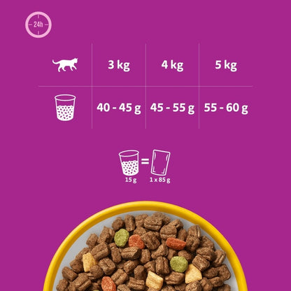Whiskas Sterile sucha karma dla kotów sterylizowanych 3,8 kg – dorosłe, z kurczakiem
