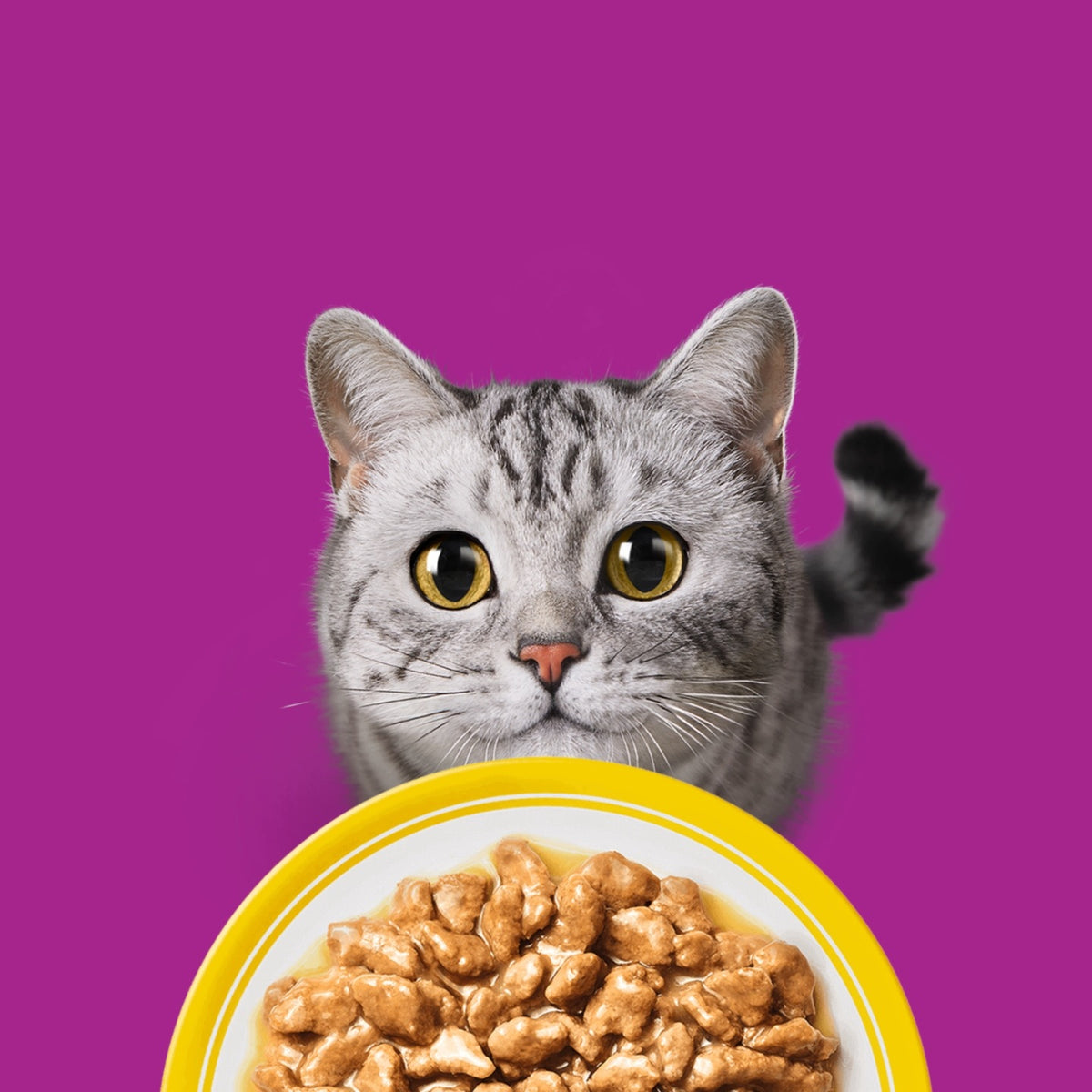 Whiskas mokra karma dla kota dorosłego 80 x 85 g w sosie i galaretce – mix smaków