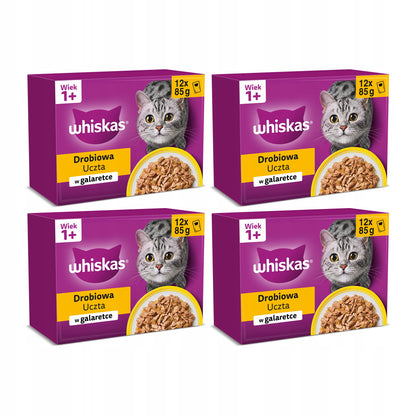 Whiskas Adult mokra karma dla kota w galaretce Drobiowa Uczta 48 x 85 g – saszetki