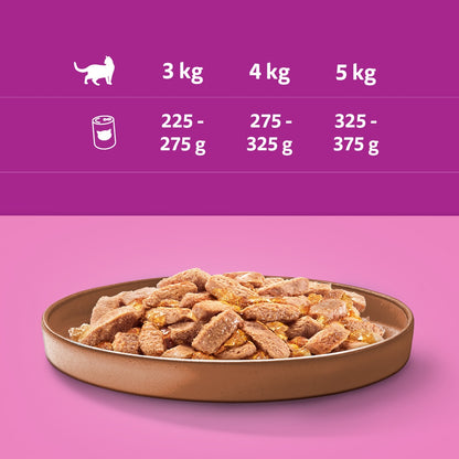 Whiskas mokra karma dla kota z kaczką w galaretce 24 x 400 g – puszka, koty dorosłe