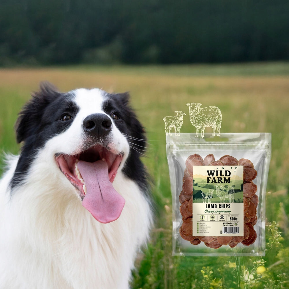 Wild Farm Chipsy z jagnięciny dla psa 500 g – 90% mięsa, przysmak treningowy