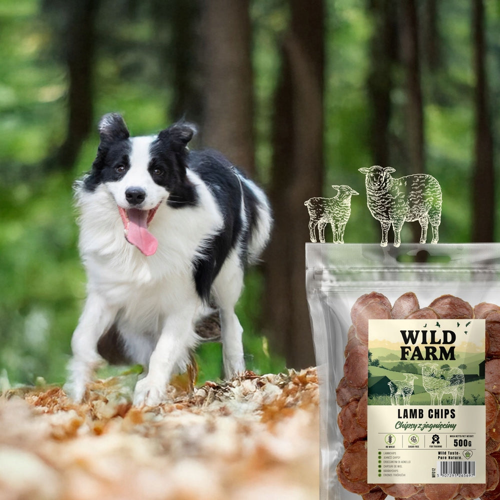 Wild Farm Chipsy z jagnięciny dla psa 500 g – 90% mięsa, przysmak treningowy
