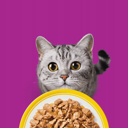 Whiskas Drobiowa Uczta mokra karma dla dorosłego kota w galaretce 120 x 85 g – mix smaków