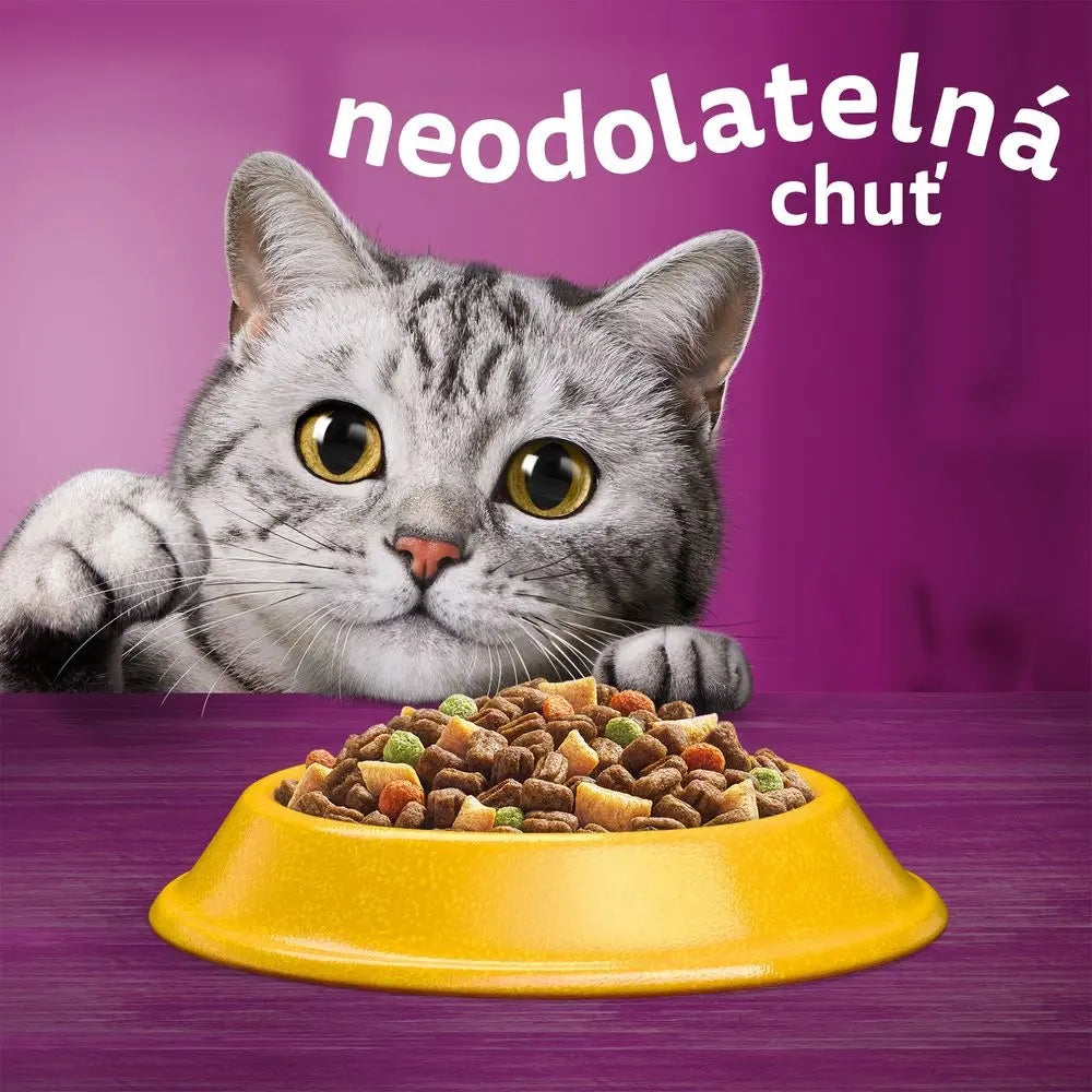 Whiskas 1+ sucha karma dla kota dorosłego z kurczakiem 3,8 kg – pełnoporcjowa