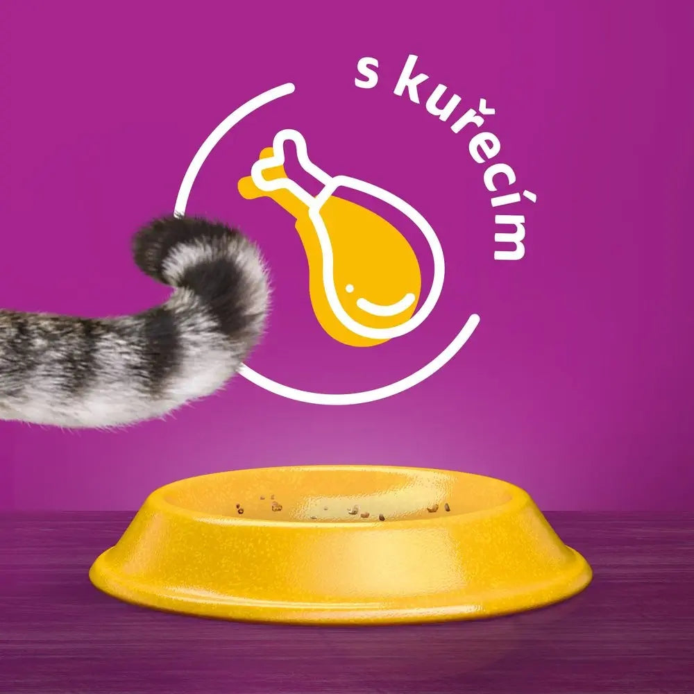 Whiskas 1+ sucha karma dla kota dorosłego z kurczakiem 3,8 kg – pełnoporcjowa
