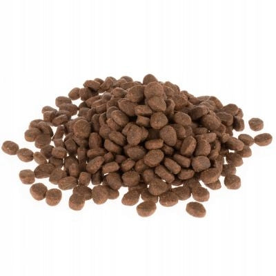 Wild Freedom Adult Cold River sucha karma dla kota z łososiem 2 kg – bezzbożowa