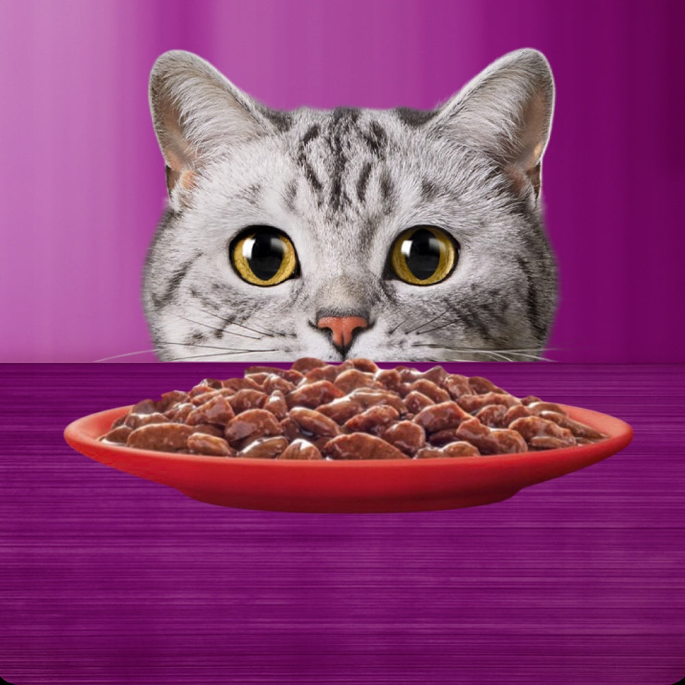 Whiskas mokra karma dla kota w sosie, 2 x 12 saszetek 85 g – mix smaków