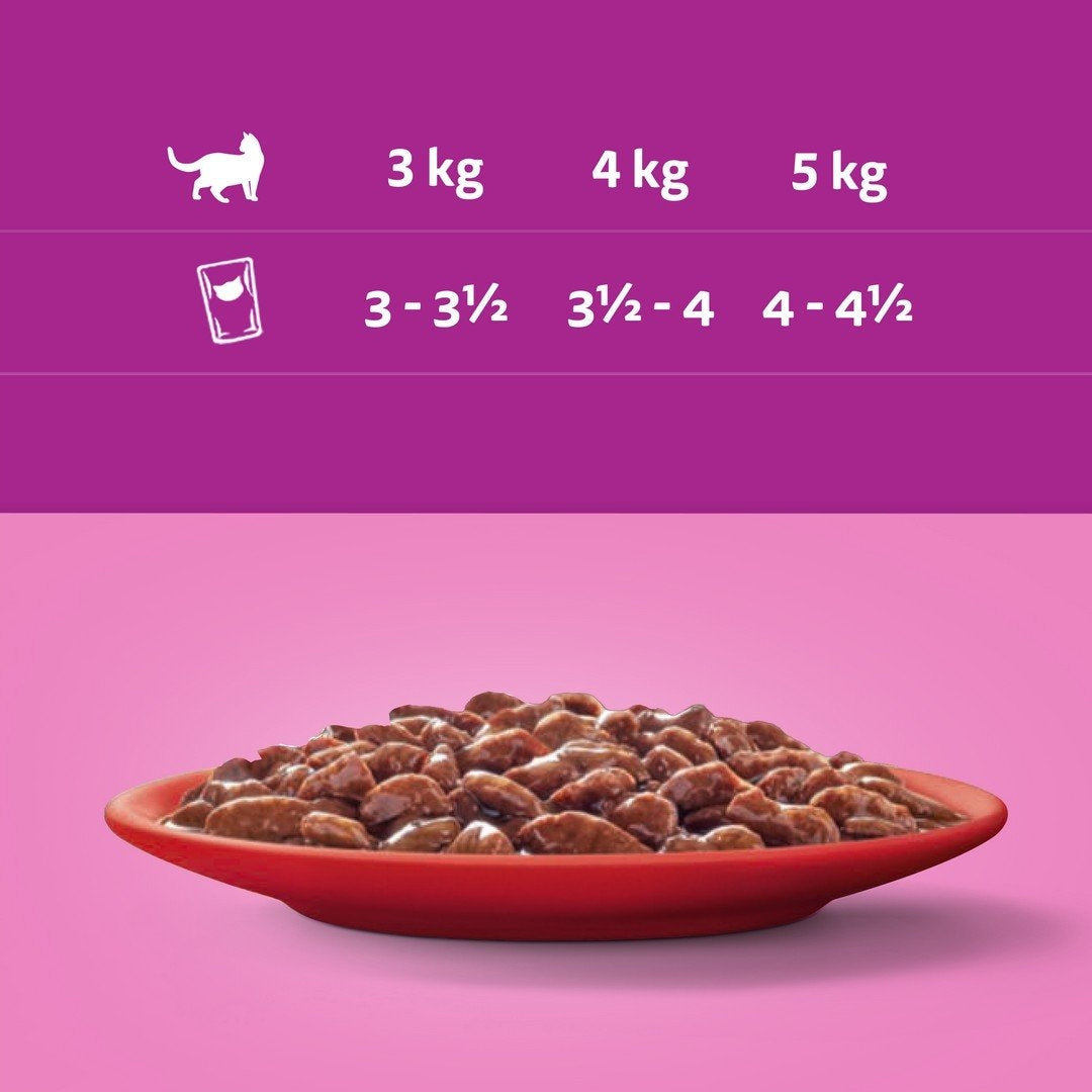 Whiskas mokra karma dla kota w sosie, 2 x 12 saszetek 85 g – mix smaków