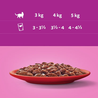 Whiskas mokra karma dla kota w sosie, 2 x 12 saszetek 85 g – mix smaków