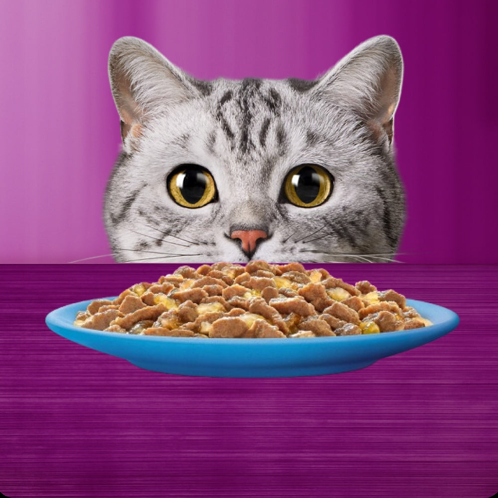 Whiskas mokra karma dla kota w galaretce 12 x 85 g – rybne smaki, bezzbożowa