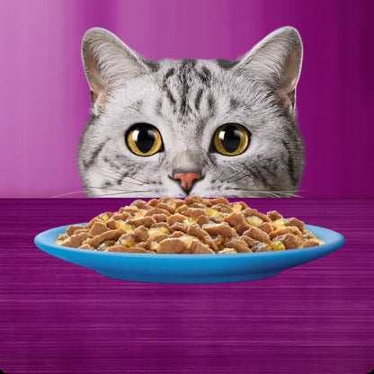 Whiskas mokra karma dla kota w galaretce 12 x 85 g – rybne smaki, bezzbożowa