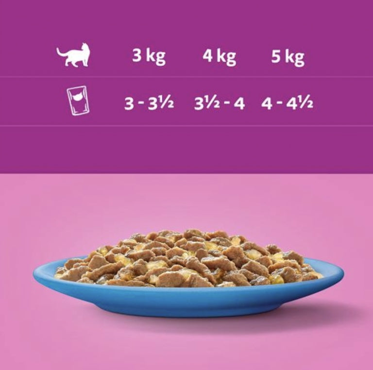 Whiskas mokra karma dla kota w galaretce 12 x 85 g – rybne smaki, bezzbożowa