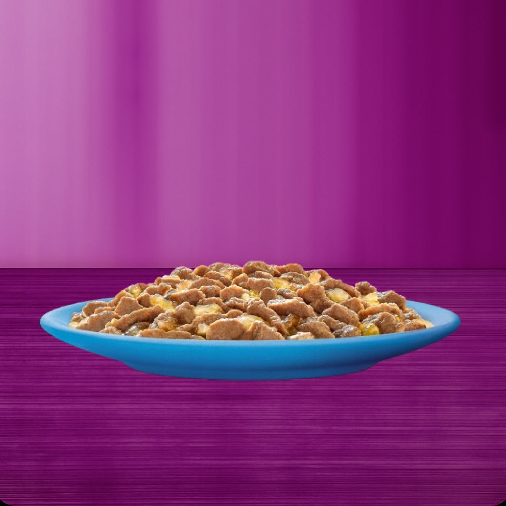 Whiskas mokra karma dla kota w galaretce 12 x 85 g – rybne smaki, bezzbożowa
