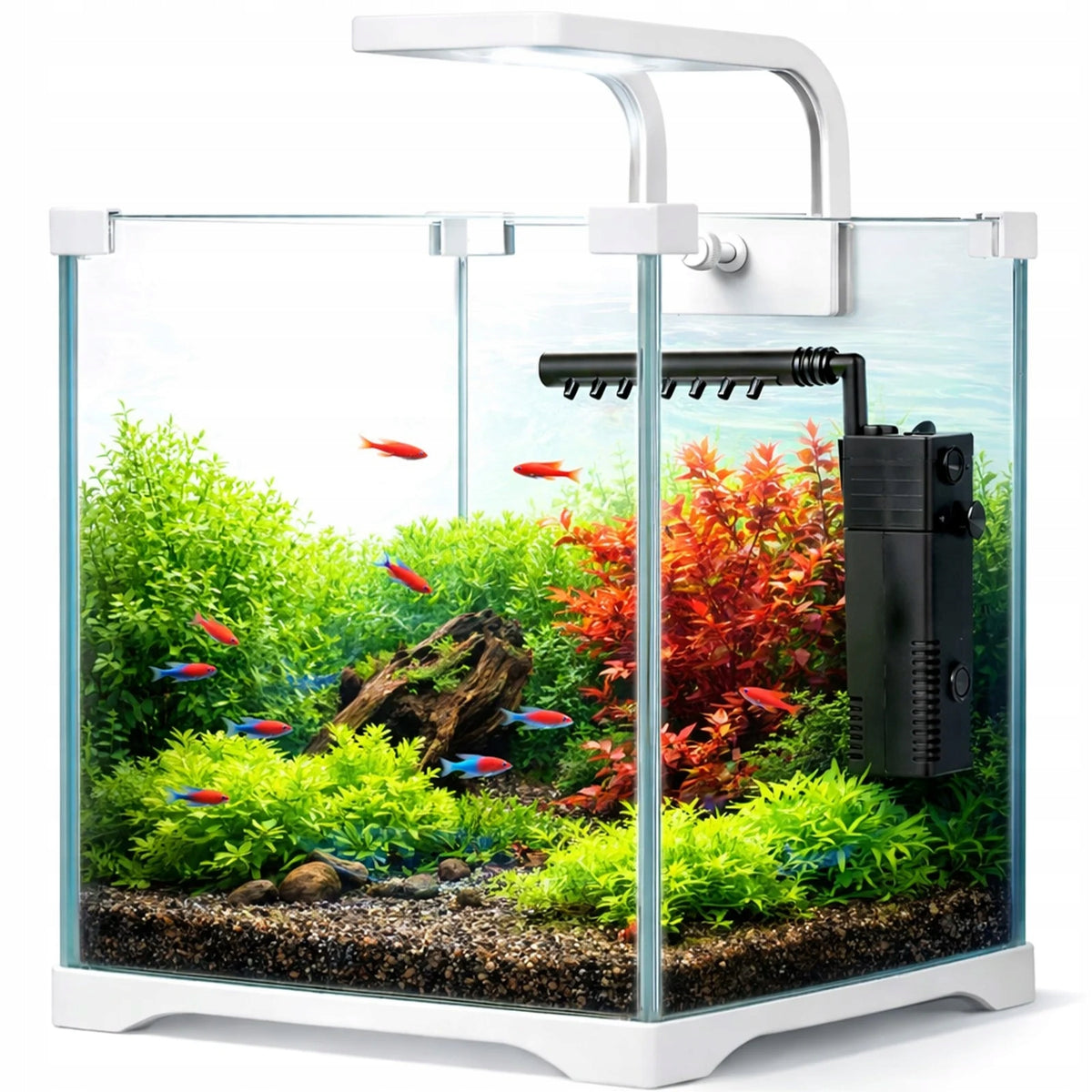 Kruger Meier Shrimp!One Pro akwarium 10 l z filtrem i lampą LED – zestaw krewetkarium