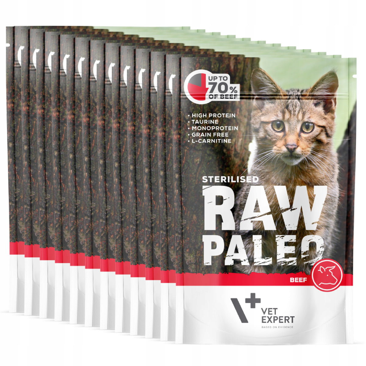 Raw Paleo mokra karma dla kota sterylizowanego z wołowiną 12 x 100 g – bezzbożowa, saszetki