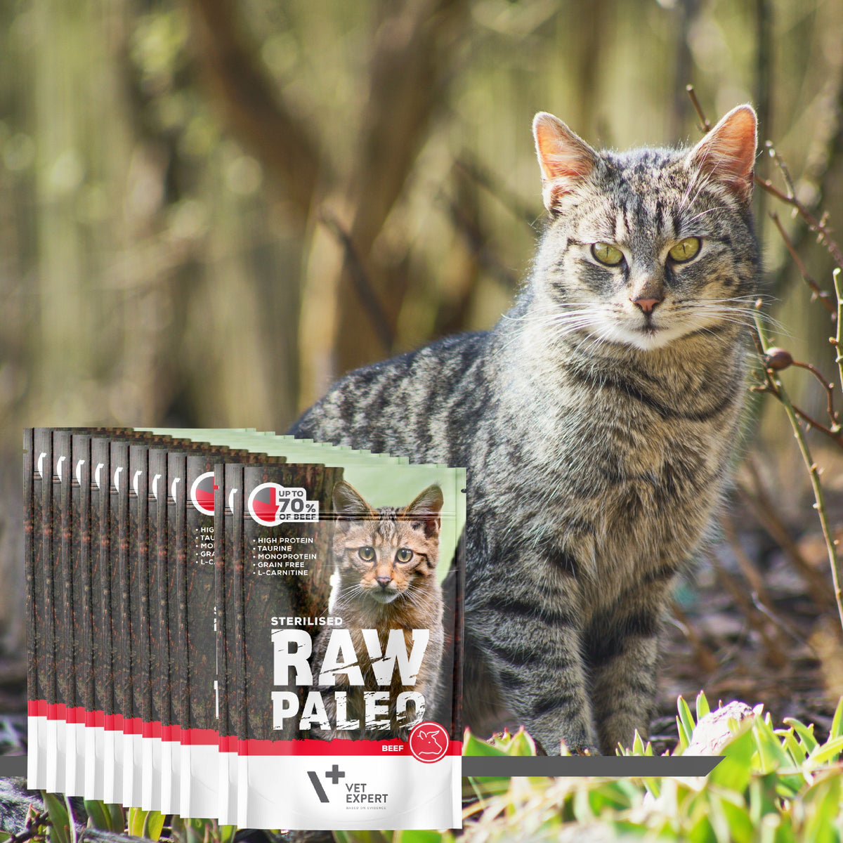 Raw Paleo mokra karma dla kota sterylizowanego z wołowiną 12 x 100 g – bezzbożowa, saszetki