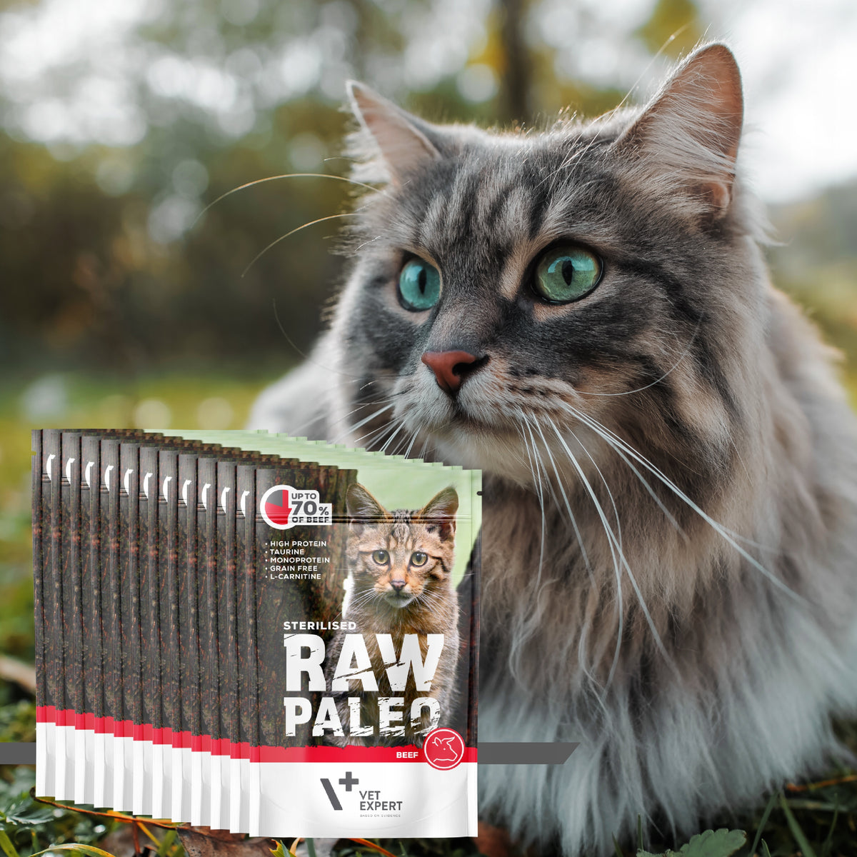 Raw Paleo mokra karma dla kota sterylizowanego z wołowiną 12 x 100 g – bezzbożowa, saszetki