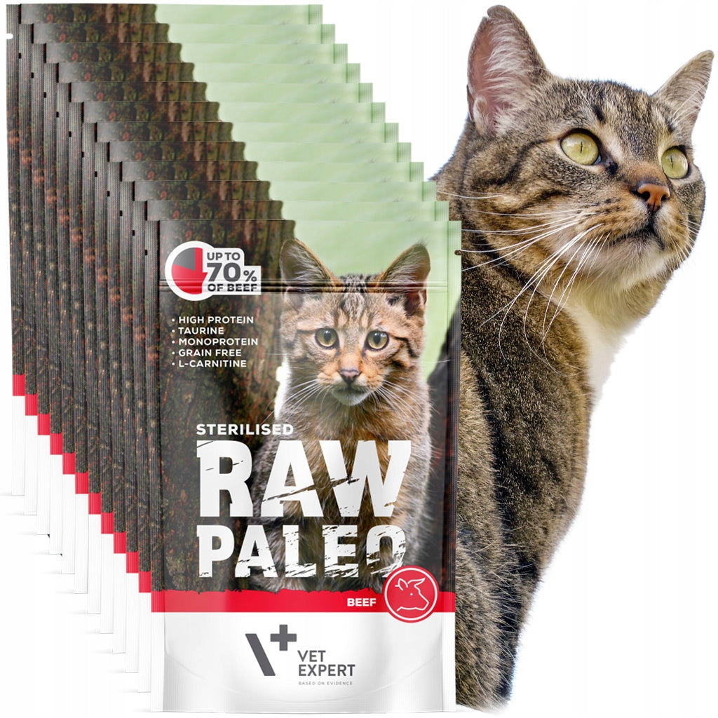 Raw Paleo mokra karma dla kota sterylizowanego z wołowiną 12 x 100 g – bezzbożowa, saszetki