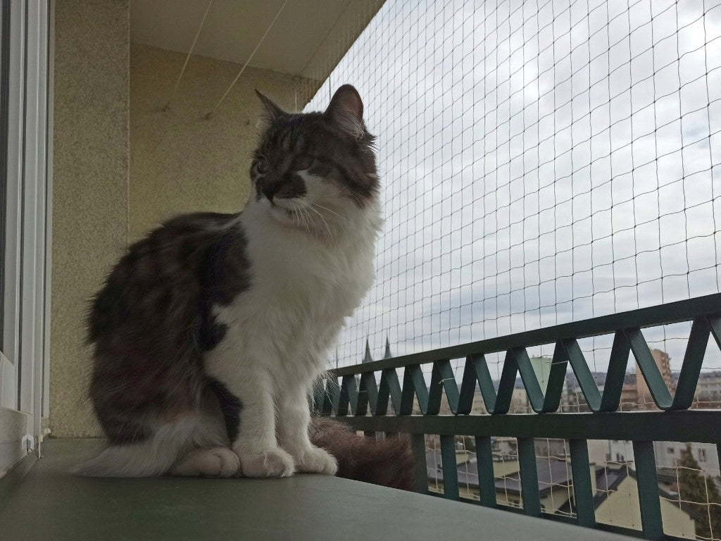 Linarem SiatkiSieci Siatka na balkon dla kota 4x2 m bez wiercenia, z klejem i zaczepami – beżowa