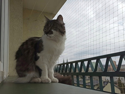 Linarem SiatkiSieci Siatka na balkon dla kota 4x2 m bez wiercenia, z klejem i zaczepami – beżowa