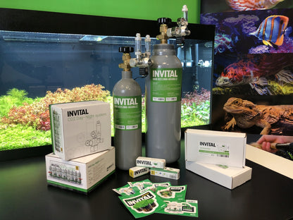 Invital Zestaw CO2 do akwarium 5 l z reduktorem, dyfuzorem i zaworem 12 V – nocne wyłączanie