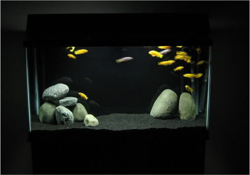 Piasek kwarcowy do akwarium, terrarium i doniczek – barwiony, odporny na UV, czarny