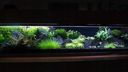 Piasek kwarcowy do akwarium, terrarium i doniczek – barwiony, odporny na UV, czarny