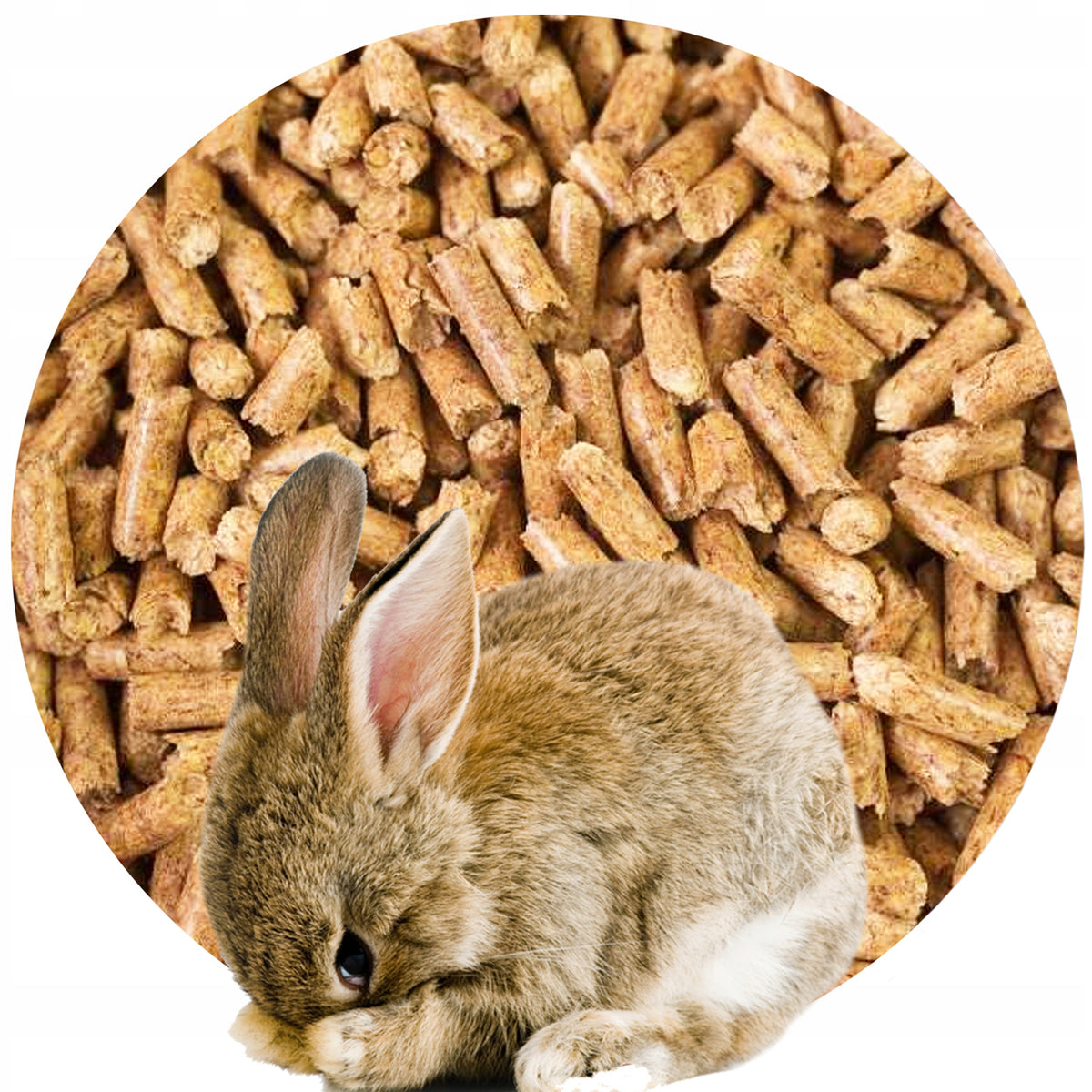 Żwirek drewniany pellet sosnowy 15 kg dla królika, gryzoni i kota – bezpyłowy
